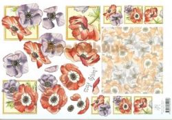 Mohn MARIJ RAHDER V 2438